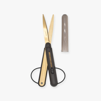 Pencut Premium Scissors Titanium Coating - Raymay